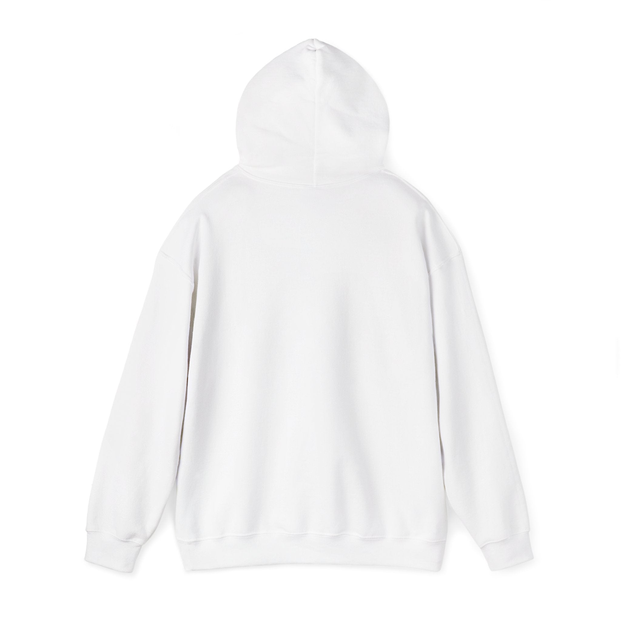 Highland Hospital Hoodie | Retro Sports Logo, School Spirit Pullover