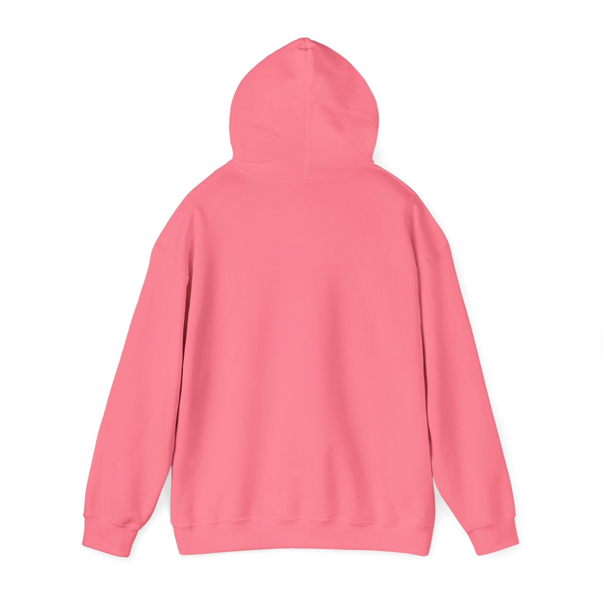 Aligned Energy Hoodie