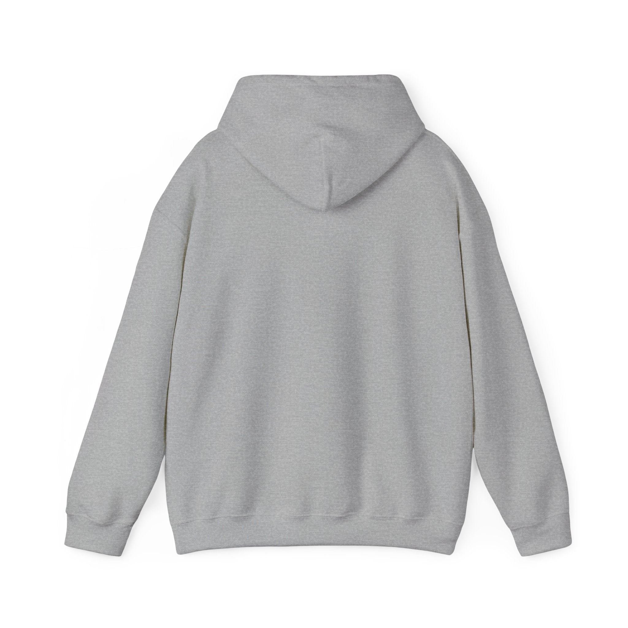 Aligned Energy Hoodie