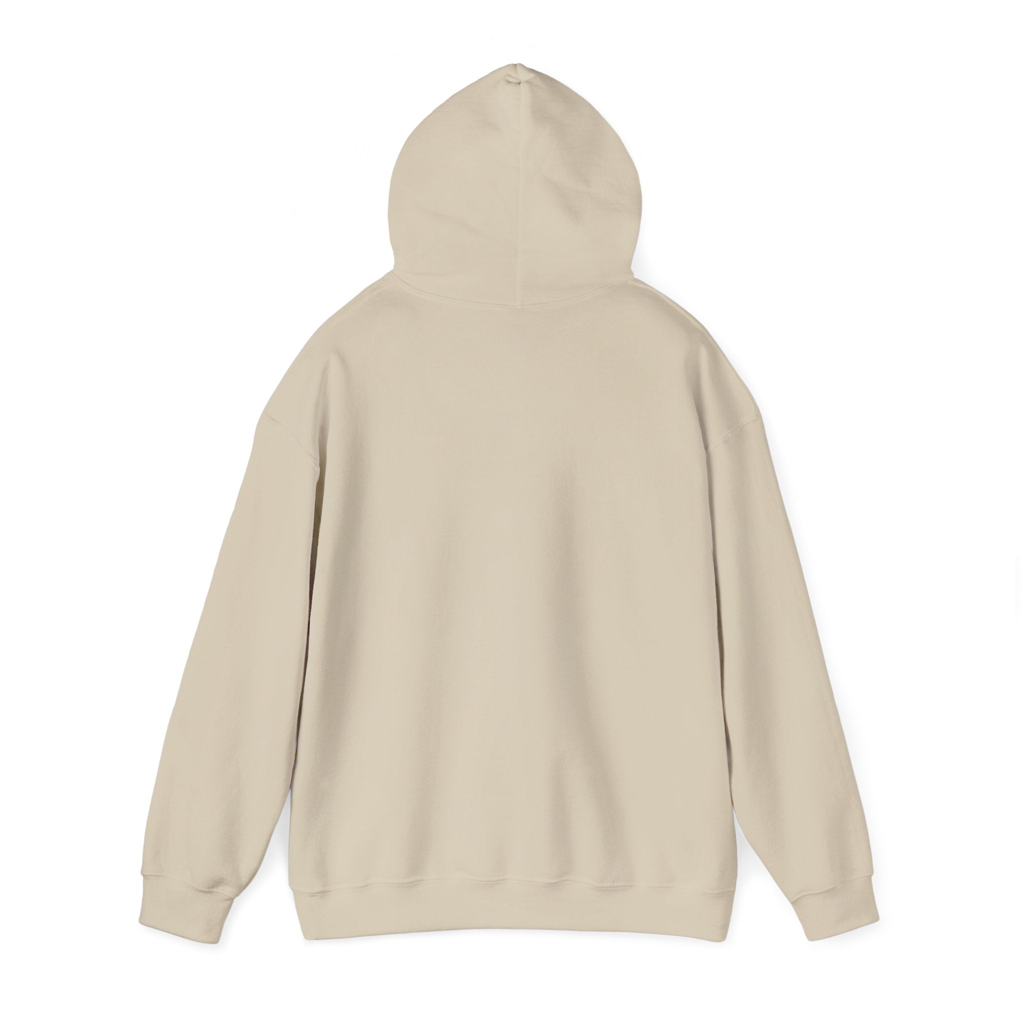 Aligned Energy Hoodie