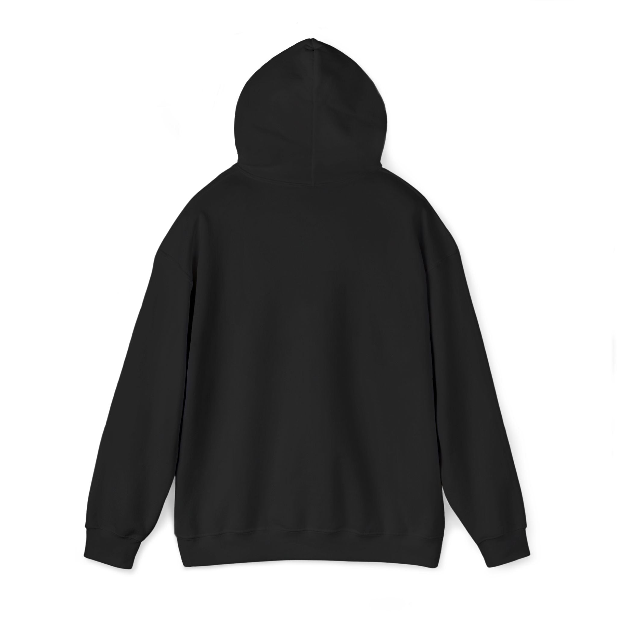 Highland Hospital Hoodie | Retro Sports Logo, School Spirit Pullover