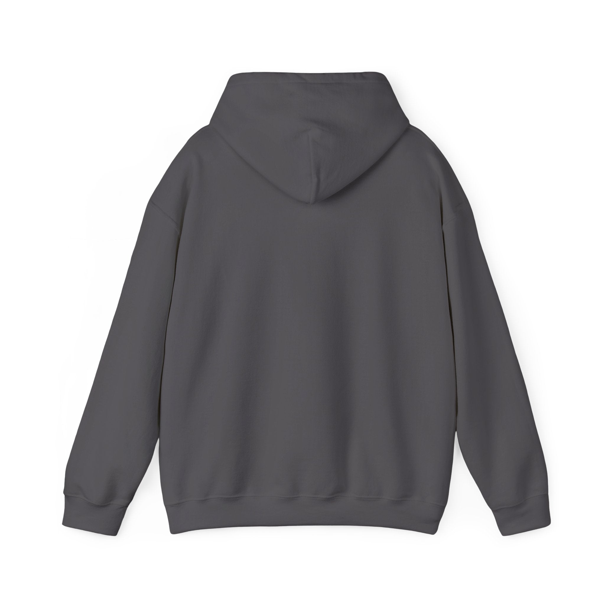 Aligned Energy Hoodie