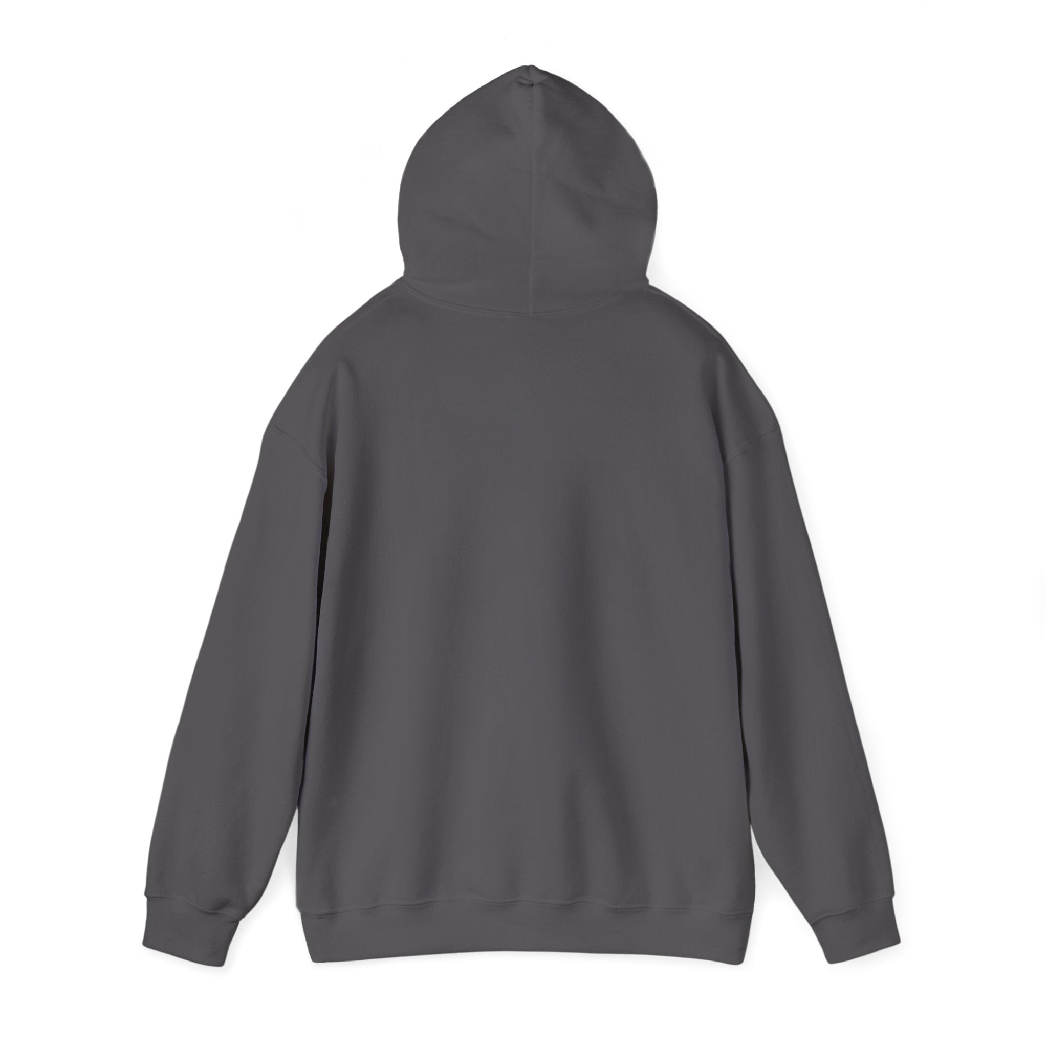 Aligned Energy Hoodie